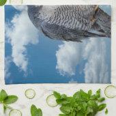 Peregrine Falcon entlang des Hudson River Geschirrtuch (Gefaltet)