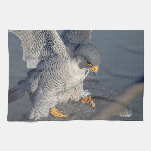 Peregrine Falcon entlang des Hudson River Geschirrtuch (Horizontal)