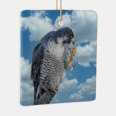 Peregrine Falcon entlang des Hudson River Keramikornament (Rechts)