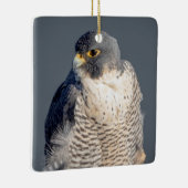 Peregrine Falcon entlang des Hudson River Keramikornament (Rechts)