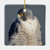 Peregrine Falcon entlang des Hudson River Keramikornament (Rückseite)