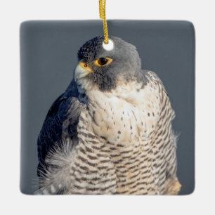 Peregrine Falcon entlang des Hudson River Keramikornament