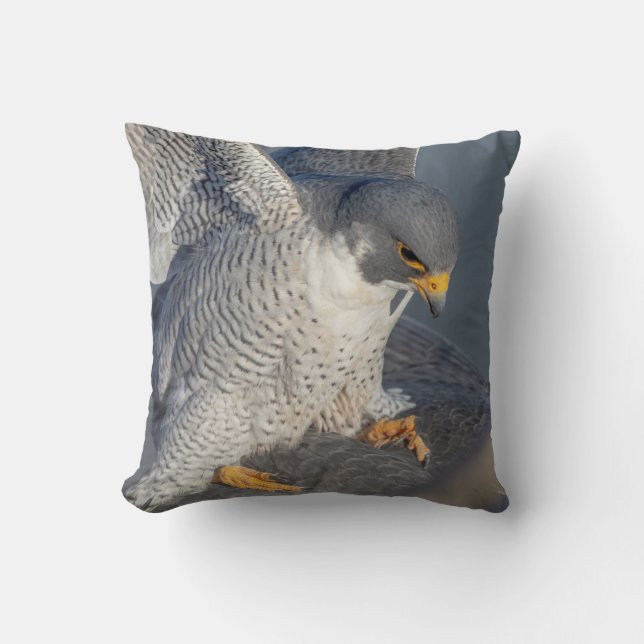 Peregrine Falcon entlang des Hudson River Kissen (Vorderseite)