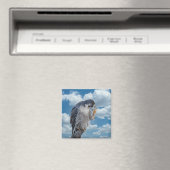 Peregrine Falcon entlang des Hudson River Magnet (In Situ (Geschirrspüler))