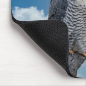 Peregrine Falcon entlang des Hudson River Mousepad (Ecke)