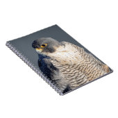 Peregrine Falcon entlang des Hudson River Notizblock (Rechte Seite)