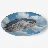 Peregrine Falcon entlang des Hudson River Pappteller (Schrägansicht)