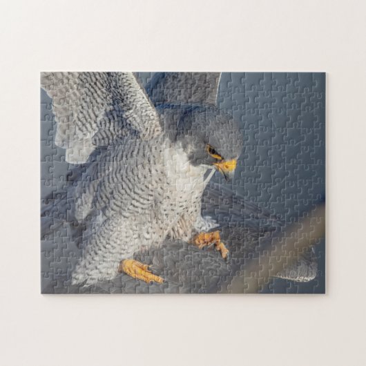 Peregrine Falcon entlang des Hudson River Puzzle (Horizontal)