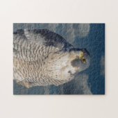 Peregrine Falcon entlang des Hudson River Puzzle (Horizontal)