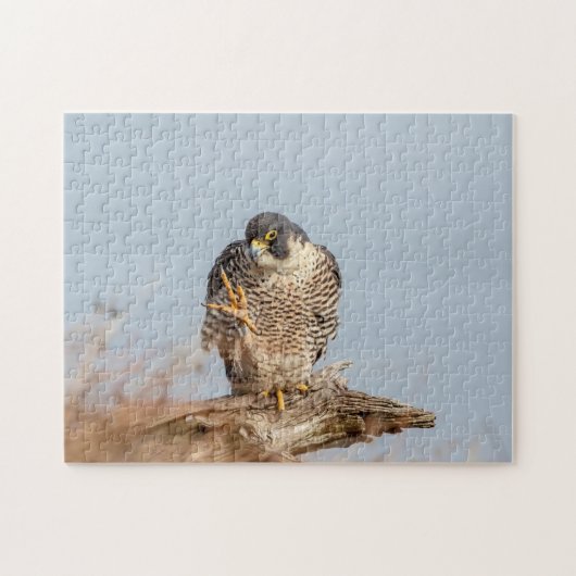 Peregrine Falcon entlang des Hudson River Puzzle (Horizontal)