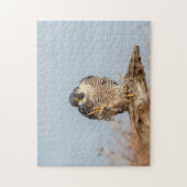Peregrine Falcon entlang des Hudson River Puzzle (Vertikal)