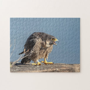 Peregrine Falcon entlang des Hudson River Puzzle