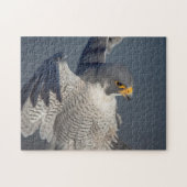 Peregrine Falcon entlang des Hudson River Puzzle (Horizontal)