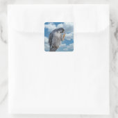 Peregrine Falcon entlang des Hudson River Quadratischer Aufkleber (Tasche)