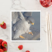 Peregrine Falcon entlang des Hudson River Serviette (Beispiel)