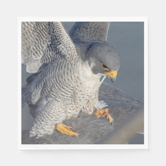 Peregrine Falcon entlang des Hudson River Serviette (Vorderseite)