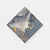 Peregrine Falcon entlang des Hudson River Serviette (Ecke)