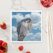 Peregrine Falcon entlang des Hudson River Serviette (Beispiel)