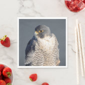 Peregrine Falcon entlang des Hudson River Serviette (Beispiel)