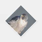 Peregrine Falcon entlang des Hudson River Serviette (Ecke)