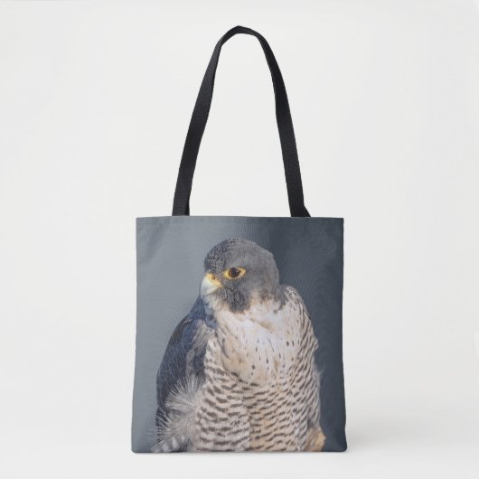 Peregrine Falcon entlang des Hudson River Tasche (Vorderseite)