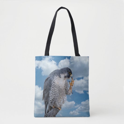 Peregrine Falcon entlang des Hudson River Tasche (Vorderseite)