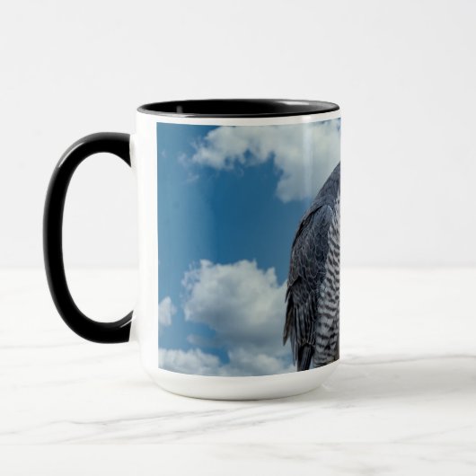 Peregrine Falcon entlang des Hudson River Tasse (Links)