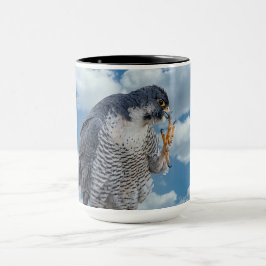 Peregrine Falcon entlang des Hudson River Tasse (Zentrum)