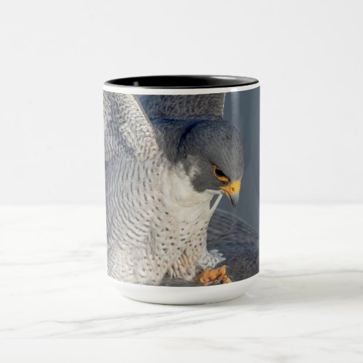 Peregrine Falcon entlang des Hudson River Tasse (Zentrum)