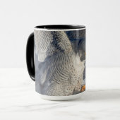 Peregrine Falcon entlang des Hudson River Tasse (Vorderseite Links)