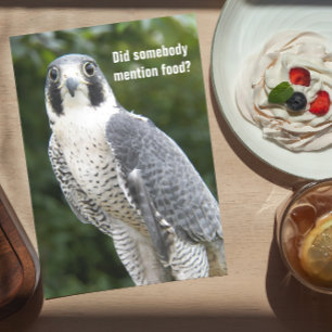 Peregrine Falcon Foto Funny Birthday Card Karte