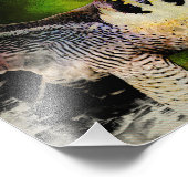 Peregrine Falcon Fotodruck (Ecke)