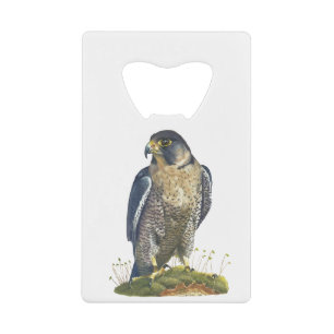 Peregrine Falcon Geldbeutel Flaschenöffner