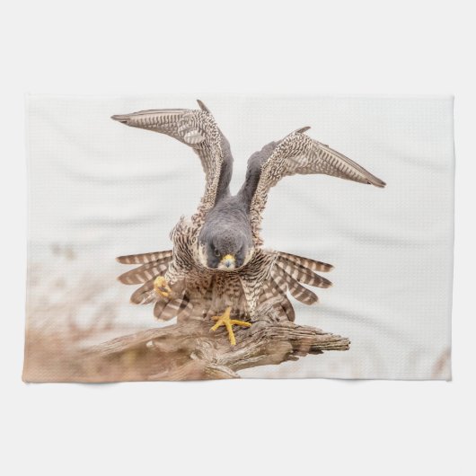 Peregrine Falcon Geschirrtuch (Horizontal)