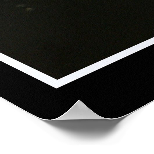 PEREGRINE FALCON I ~ Foto Print oder Poster (Ecke)