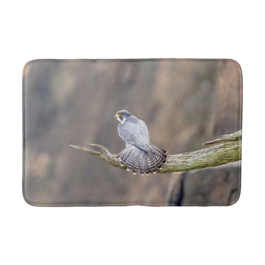 Peregrine Falcon im Palisades Interstate Park Badematte (Vorderseite)