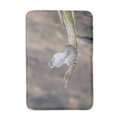 Peregrine Falcon im Palisades Interstate Park Badematte (Vorderseite Vertikal)