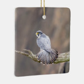 Peregrine Falcon im Palisades Interstate Park Keramikornament (Rechts)