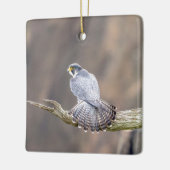 Peregrine Falcon im Palisades Interstate Park Keramikornament (Links)
