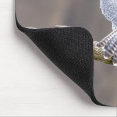 Peregrine Falcon im Palisades Interstate Park Mousepad (Ecke)