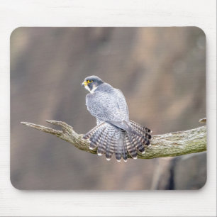 Peregrine Falcon im Palisades Interstate Park Mousepad
