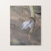 Peregrine Falcon im Palisades Interstate Park Puzzle (Vertikal)