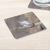 Peregrine Falcon im Palisades Interstate Park Rechteckiger Pappuntersetzer (angewinkelt)