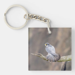 Peregrine Falcon im Palisades Interstate Park Schlüsselanhänger