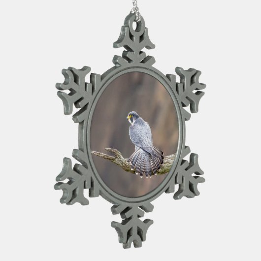 Peregrine Falcon im Palisades Interstate Park Schneeflocken Zinn-Ornament (Links)
