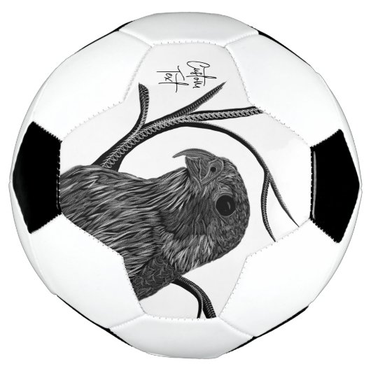 Peregrine Falcon in Baumzweigen mit Handschrift Fußball (Gedreht)