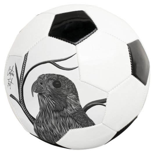 Peregrine Falcon in Baumzweigen mit Handschrift Fußball (Dreiviertel)