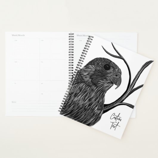 Peregrine Falcon in Baumzweigen mit Handschrift Planer (Anzeige)