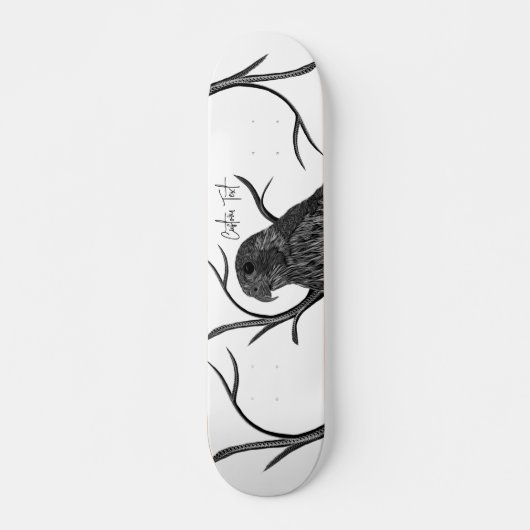 Peregrine Falcon in Baumzweigen mit Handschrift Skateboard (Vorne)