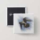 Peregrine Falcon in Flight Button (Vorne & Hinten)